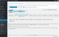 Page screenshot: Asset CleanUp → CSS/JS Load Manager