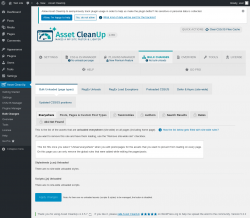 Page screenshot: Asset CleanUp &rarr; Bulk Changes