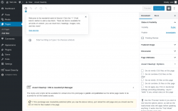 Page screenshot: Add New Page &lsaquo; Test site &mdash; WordPress
