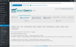 Page screenshot: Asset CleanUp &rarr; CSS/JS Manager &rarr; Pages