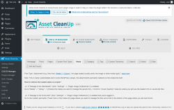 Page screenshot: Asset CleanUp &rarr; CSS/JS Manager &rarr; Media