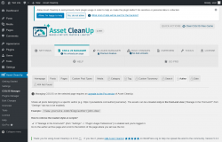 Page screenshot: Asset CleanUp &rarr; CSS/JS Manager &rarr;  Author