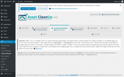 Page screenshot: Asset CleanUp &rarr; Plugins Manager