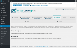 Page screenshot: Asset CleanUp &rarr; Overview