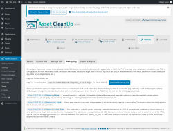 Page screenshot: Asset CleanUp &rarr; Tools &rarr; Debugging
