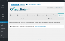 Page screenshot: Asset CleanUp &rarr; License