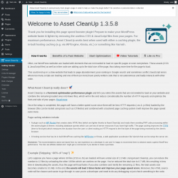 Page screenshot: Asset CleanUp &lsaquo; Test site &mdash; WordPress