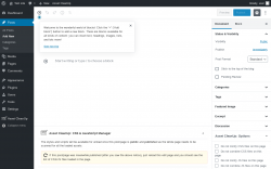 Page screenshot: Add New Post &lsaquo; Test site &mdash; WordPress