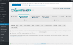 Page screenshot: Asset CleanUp &rarr; CSS/JS Manager