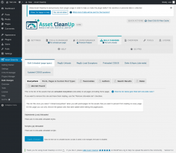 Page screenshot: Asset CleanUp &rarr; Bulk Changes