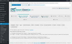 Page screenshot: Asset CleanUp &rarr; CSS/JS Manager &rarr; Pages