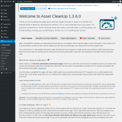 Page screenshot: Asset CleanUp &lsaquo; Test site &mdash; WordPress
