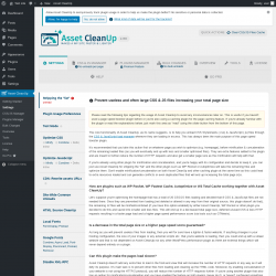 Page screenshot: Settings &rarr; Asset CleanUp