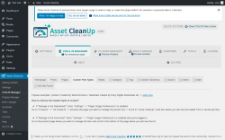 Page screenshot: Asset CleanUp &rarr; CSS/JS Manager &rarr; Custom Post Types