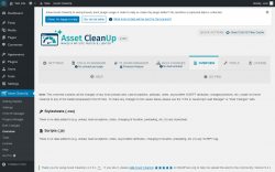 Page screenshot: Asset CleanUp &rarr; Overview
