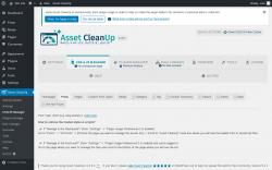 Page screenshot: Asset CleanUp &rarr; CSS/JS Manager &rarr; Posts