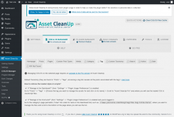 Page screenshot: Asset CleanUp &rarr; CSS/JS Manager &rarr;  Tag