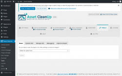 Page screenshot: Asset CleanUp &rarr; Tools