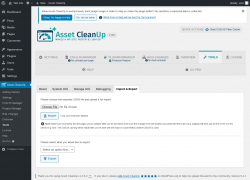 Page screenshot: Asset CleanUp &rarr; Tools &rarr; Import & Export