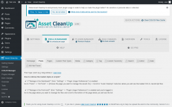 Page screenshot: Asset CleanUp &rarr; CSS/JS Manager &rarr; Posts