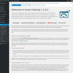 Page screenshot: Asset CleanUp &lsaquo; Test site &mdash; WordPress