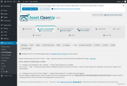 Page screenshot: Asset CleanUp &rarr; CSS/JS Manager &rarr;  Tag