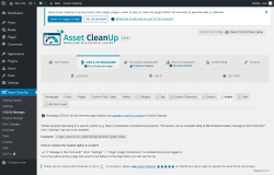 Page screenshot: Asset CleanUp &rarr; CSS/JS Manager &rarr;  Author