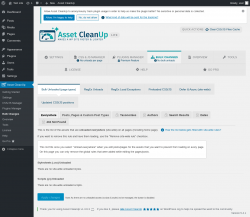 Page screenshot: Asset CleanUp &rarr; Bulk Changes