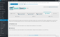 Page screenshot: Asset CleanUp &rarr; Overview