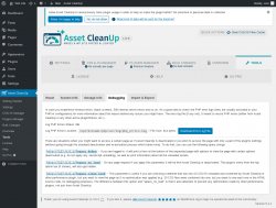 Page screenshot: Asset CleanUp &rarr; Tools &rarr; Debugging