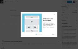 Page screenshot: Add New Page &lsaquo; Test site &mdash; WordPress