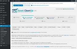 Page screenshot: Asset CleanUp &rarr; CSS/JS Manager &rarr;  Search
