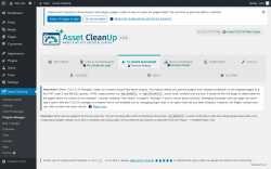 Page screenshot: Asset CleanUp &rarr; Plugins Manager