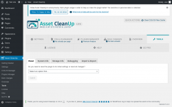 Page screenshot: Asset CleanUp &rarr; Tools