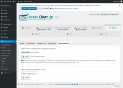 Page screenshot: Asset CleanUp &rarr; Tools &rarr; Import & Export
