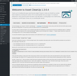 Page screenshot: Asset CleanUp &rarr; Start Optimization