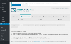 Page screenshot: Asset CleanUp &rarr; CSS/JS Manager &rarr; Pages