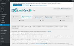 Page screenshot: Asset CleanUp &rarr; CSS/JS Manager &rarr; Custom Post Types