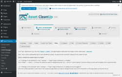 Page screenshot: Asset CleanUp &rarr; CSS/JS Manager &rarr; Media