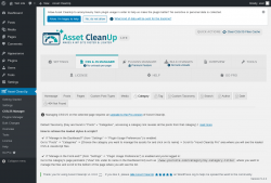Page screenshot: Asset CleanUp &rarr; CSS/JS Manager &rarr;  Category