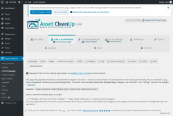 Page screenshot: Asset CleanUp &rarr; CSS/JS Manager &rarr;  404 Not Found