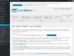 Page screenshot: Asset CleanUp &rarr; Tools &rarr; Debugging