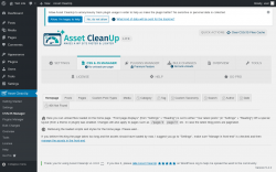 Page screenshot: Asset CleanUp &rarr; CSS/JS Manager