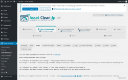 Page screenshot: Asset CleanUp &rarr; CSS/JS Manager &rarr; Pages