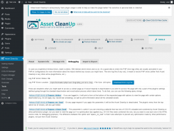 Page screenshot: Asset CleanUp &rarr; Tools &rarr; Debugging