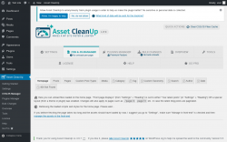 Page screenshot: Asset CleanUp &rarr; CSS/JS Manager