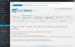 Page screenshot: Asset CleanUp &rarr; CSS/JS Manager &rarr; Custom Post Types
