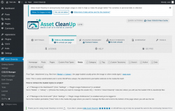 Page screenshot: Asset CleanUp &rarr; CSS/JS Manager &rarr; Media