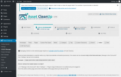 Page screenshot: Asset CleanUp &rarr; CSS/JS Manager &rarr;  Author