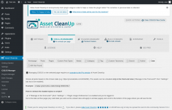 Page screenshot: Asset CleanUp &rarr; CSS/JS Manager &rarr;  Date